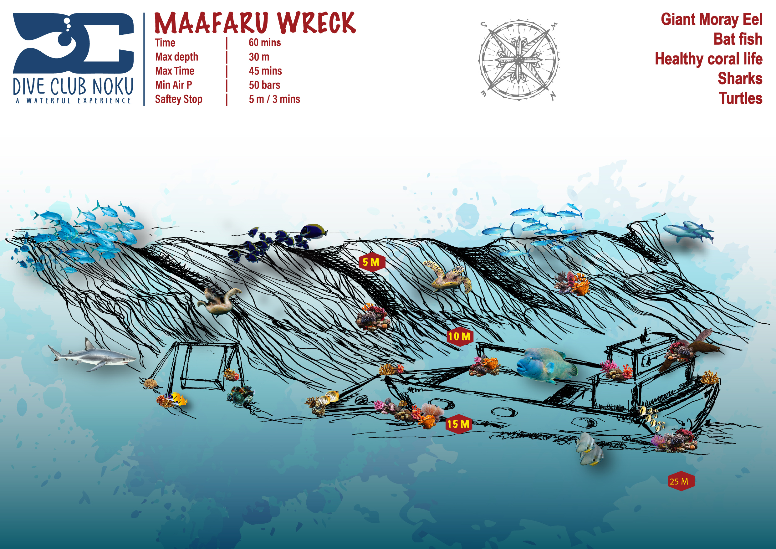 Maafaru Wreck