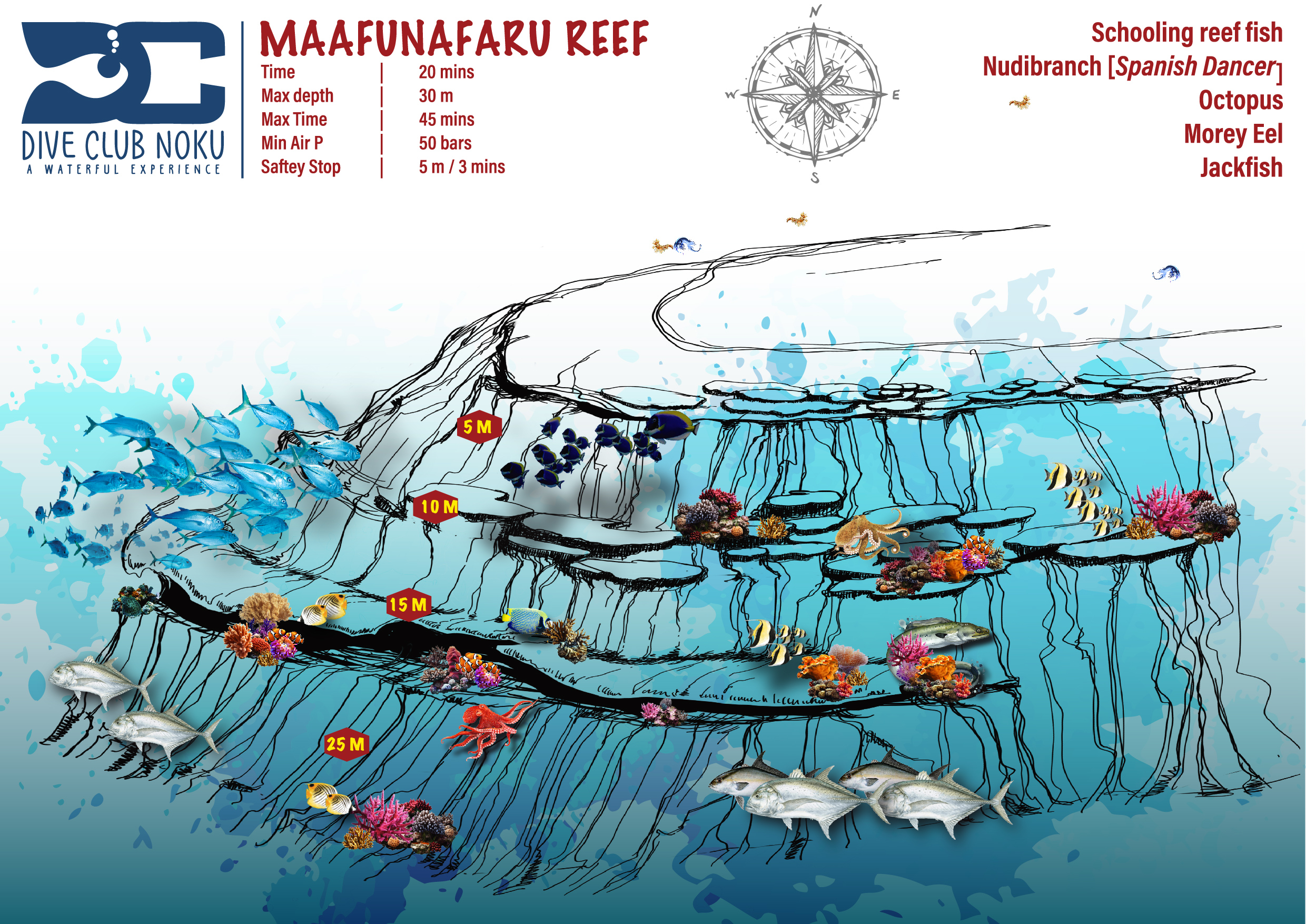 Maafunafaru Reef