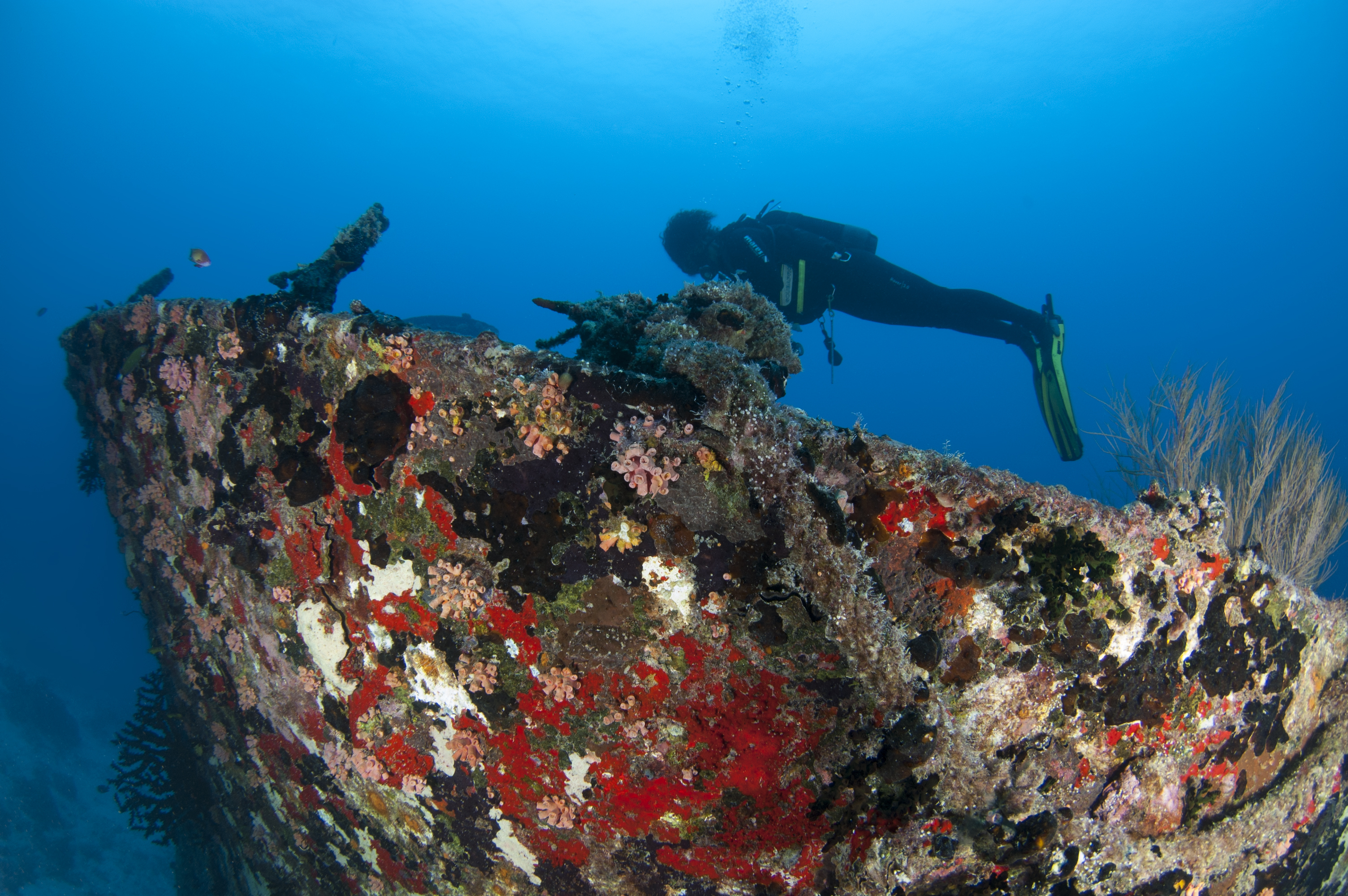 PADI Adventure Diver