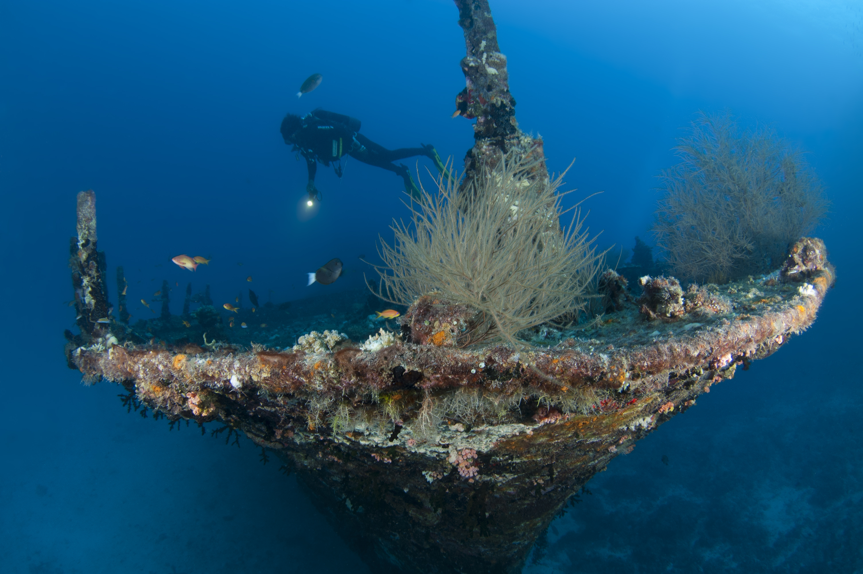 PADI Adventure Diver