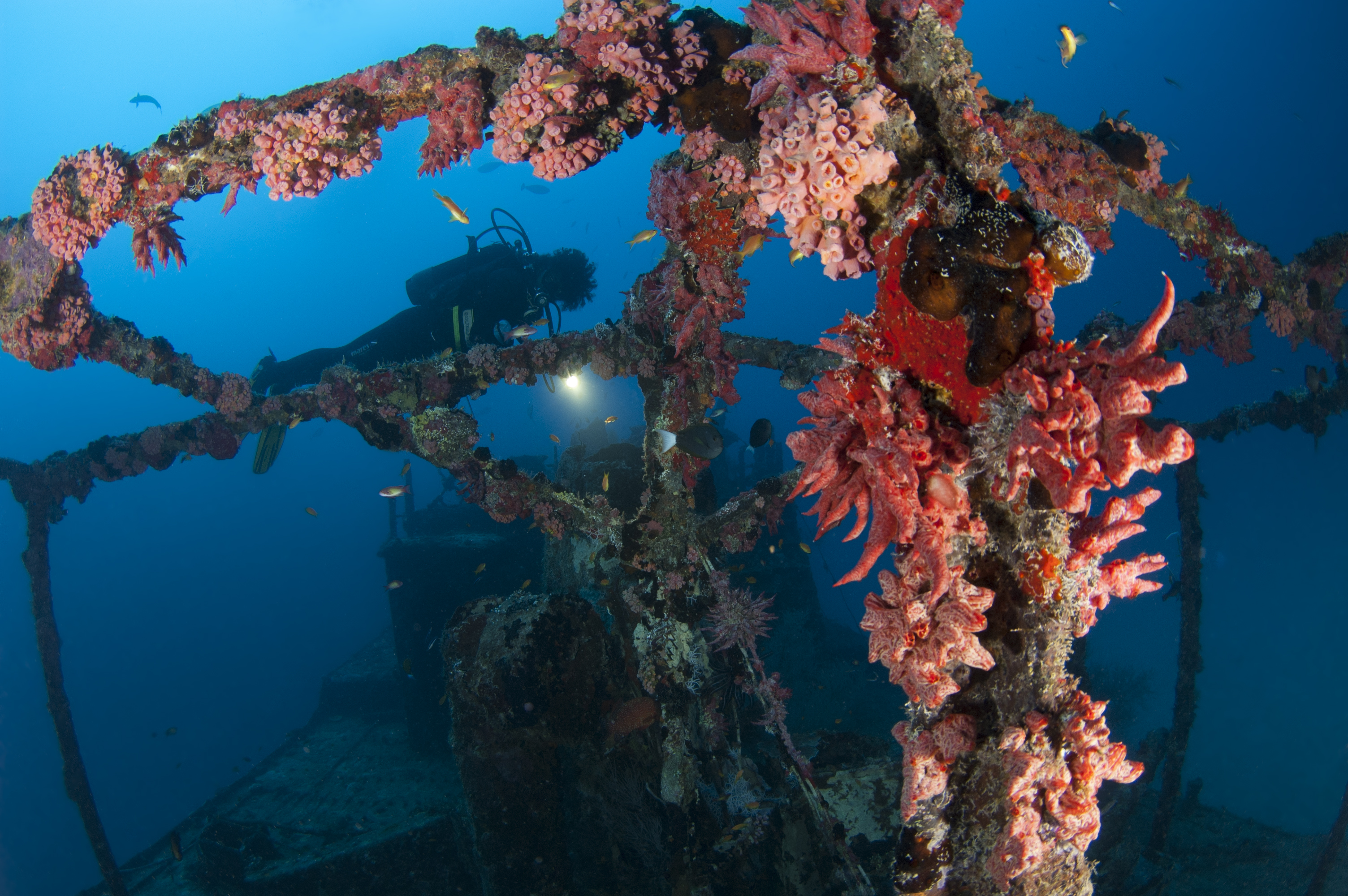 PADI Adventure Diver