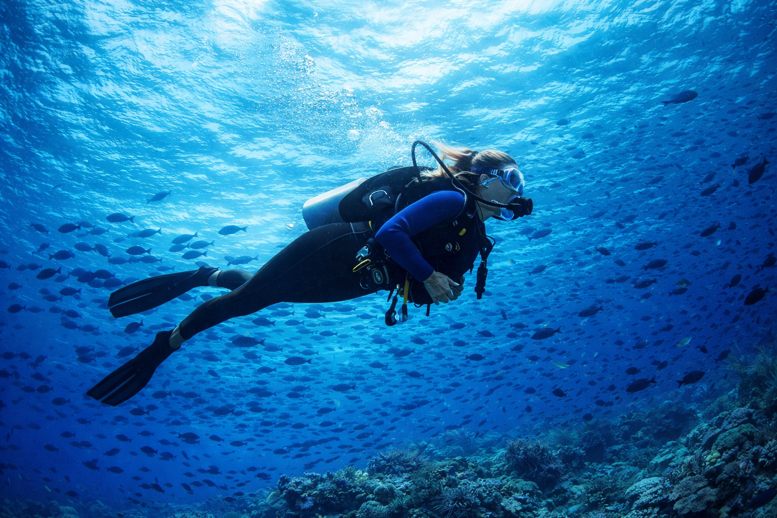 PADI Scuba Diver