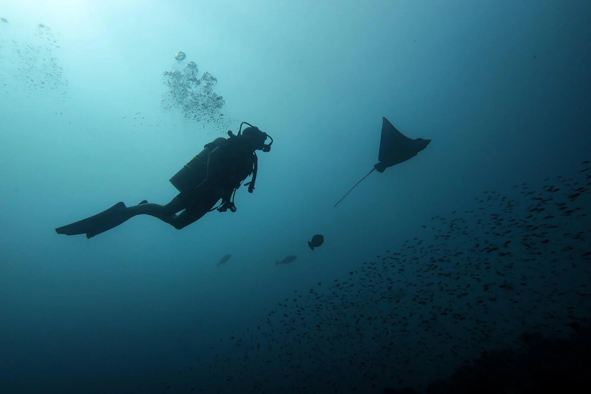 PADI Advanced Open Water Diver