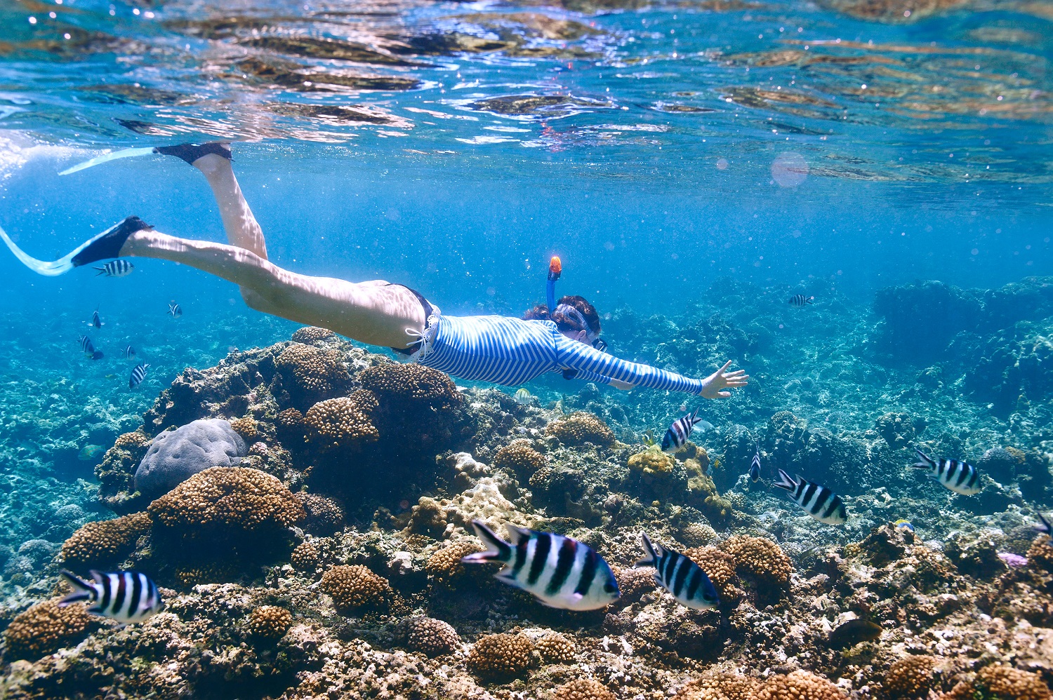 Snorkeling Trip (4 Persons)