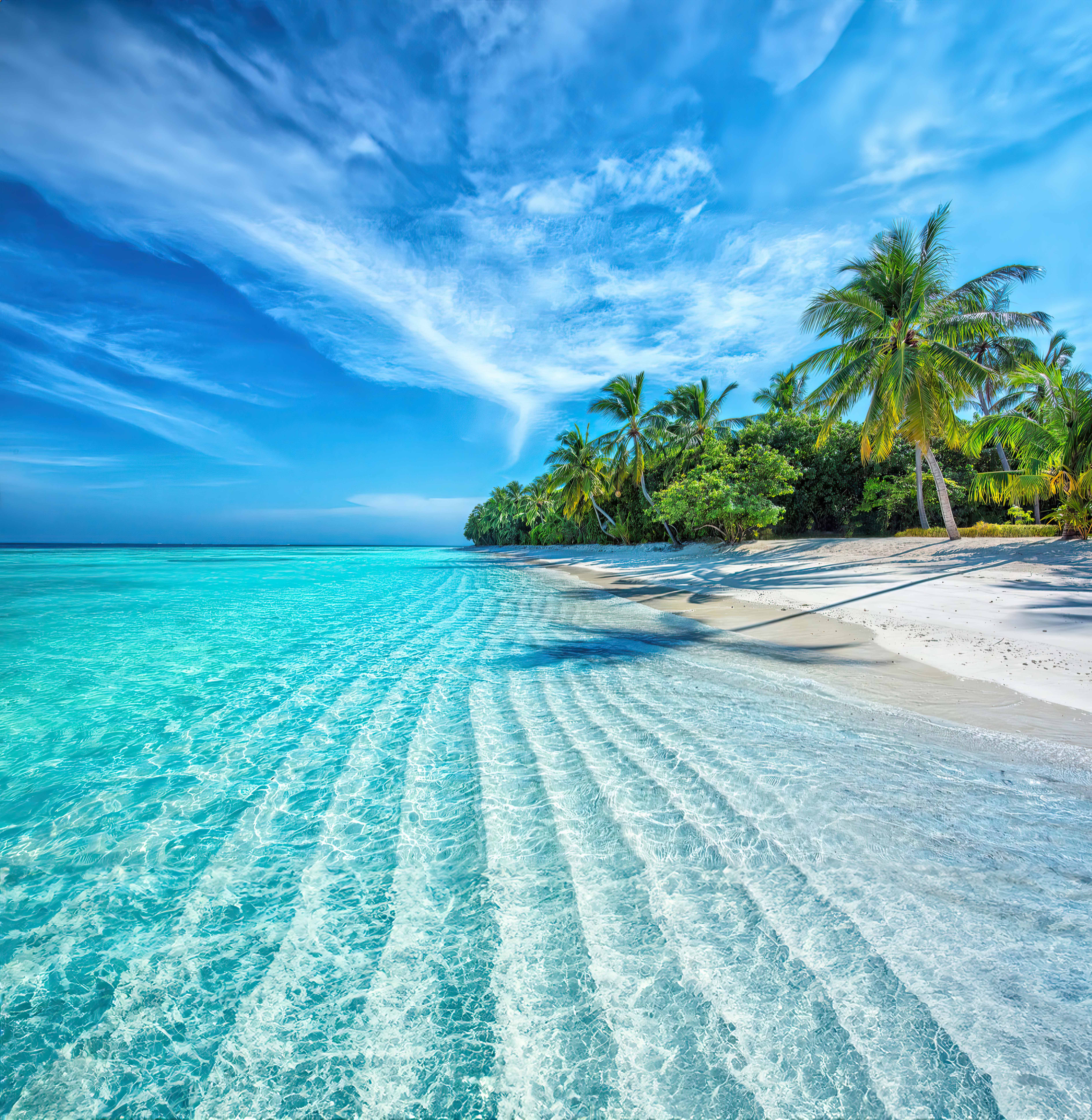 Guided House Reef Snorkeling